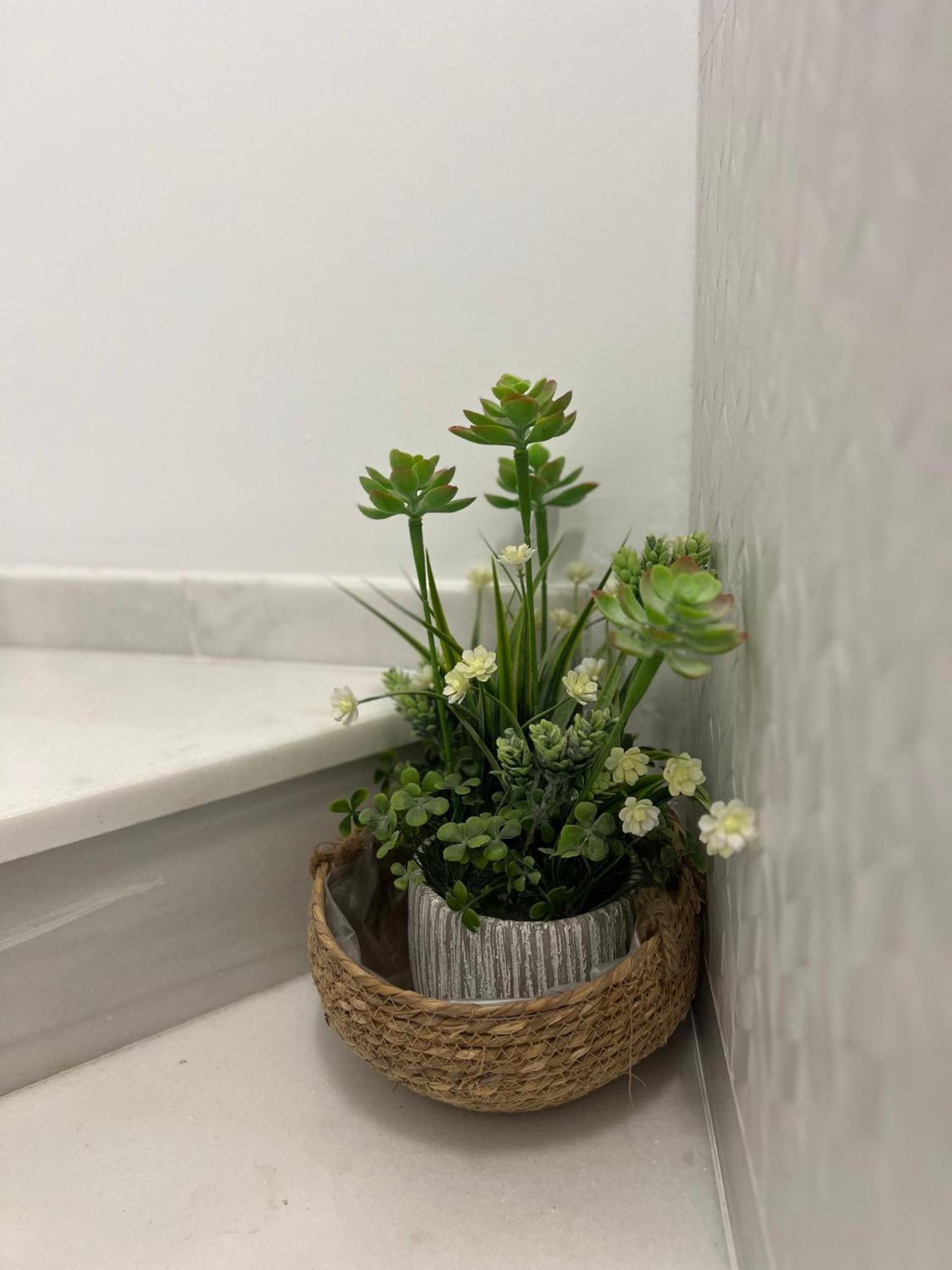 Casa Rural Las Rosas De 베나오얀 외부 사진