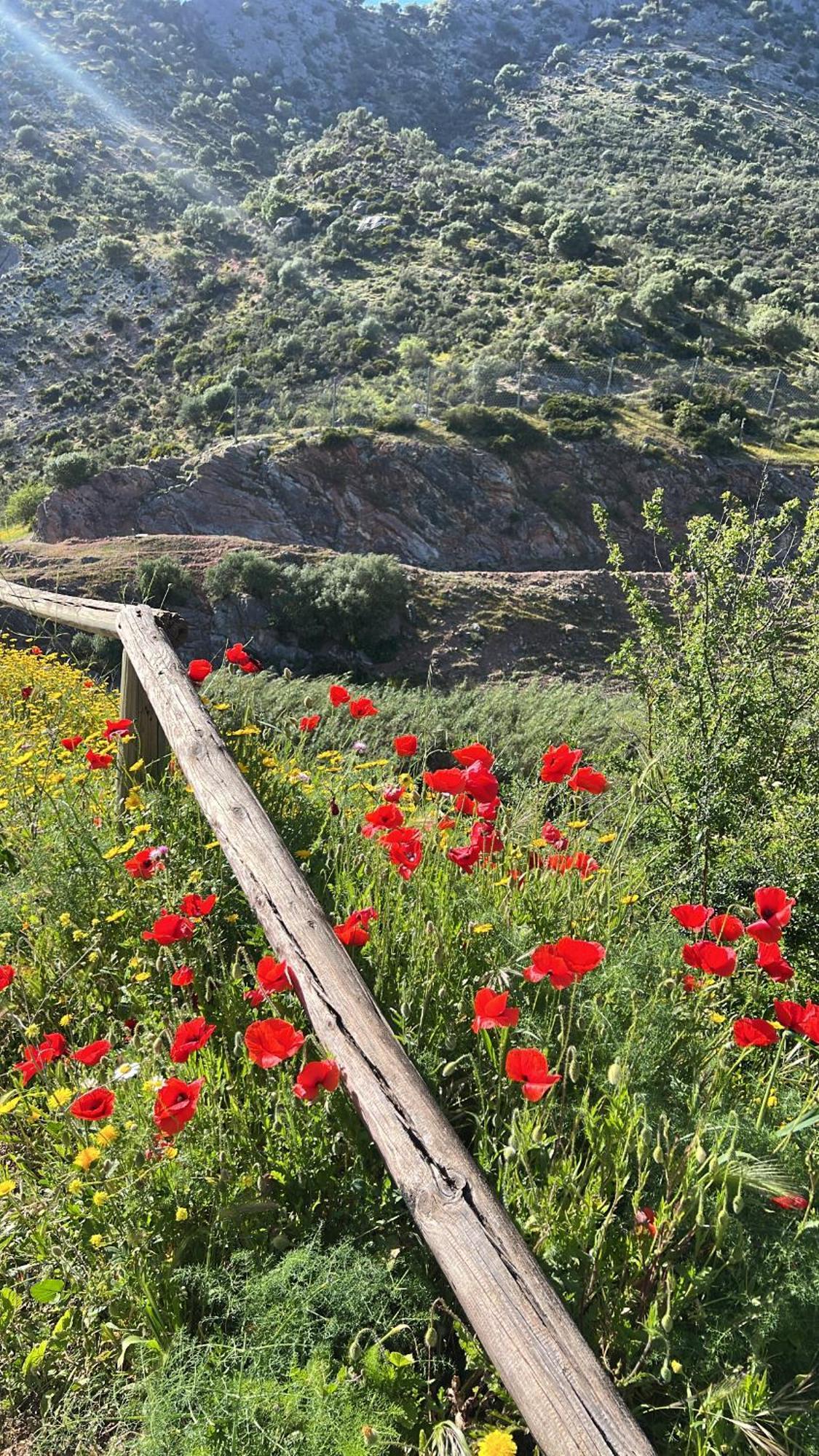 Casa Rural Las Rosas De 베나오얀 외부 사진